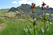 Grande anello LAGHI GEMELLI e DELLA PAURA, con Cima di Mezzeno e Pizzo Camilla, dalla conca di Mezzeno il 14 luglio 2019 - FOTOGALLERY